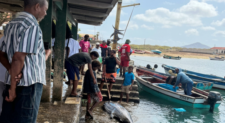 Authentic Palmeira Tour: Immersion in a Fishing Village Provided by Veronique