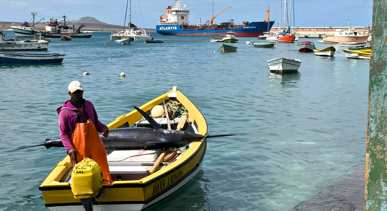 authentic-palmeira-a-deep-dive-into-a-fishing-village-en-1