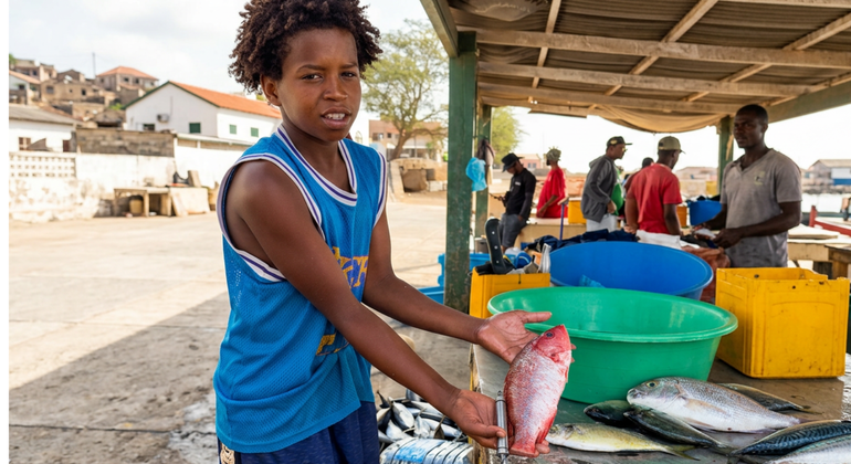 authentic-palmeira-a-deep-dive-into-a-fishing-village-en-2
