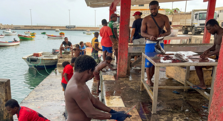 authentic-palmeira-a-deep-dive-into-a-fishing-village-en-3