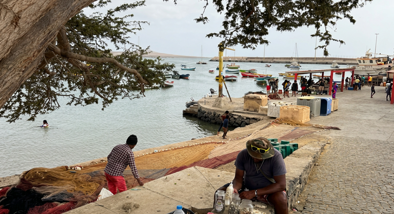 authentic-palmeira-a-deep-dive-into-a-fishing-village-en-4