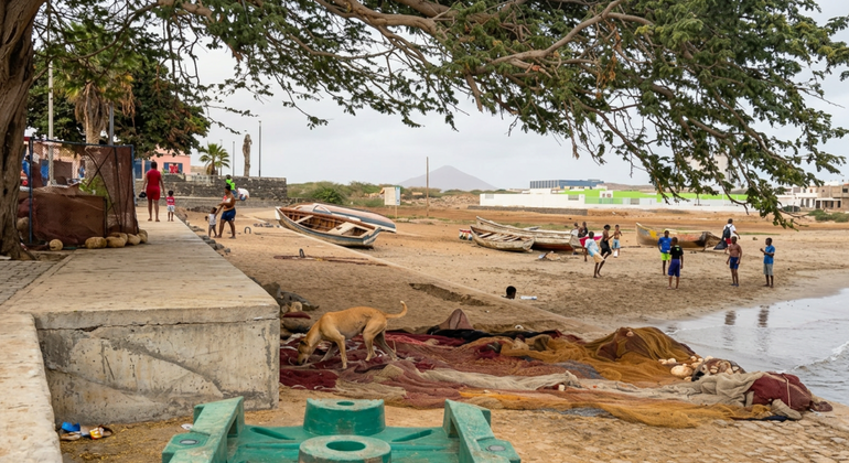 authentic-palmeira-a-deep-dive-into-a-fishing-village-en-5
