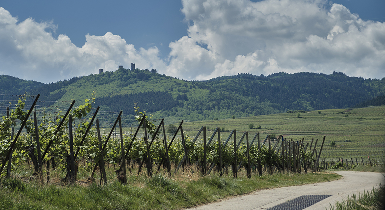 Eguishaim Free Tour: A Medieval Gem of Alsace global.countries. &mdash; #5