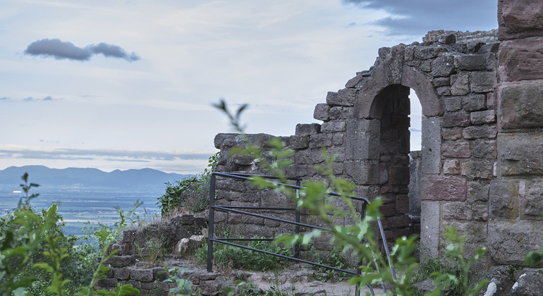 Eguishaim Free Tour: A Medieval Gem of Alsace global.countries. &mdash; #10