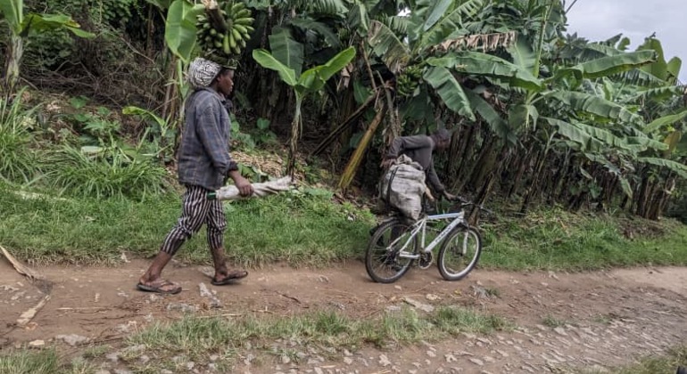musanze-market-caves-mpenge-trails-and-isaac-waterfall-walk-en-8