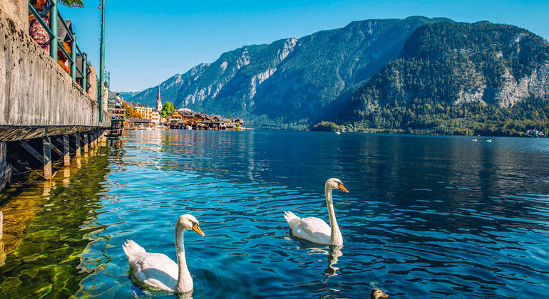 Audio-App für eine selbstgeführte Tour: Stadtrundgang durch Hallstatt Österreich &mdash; #5