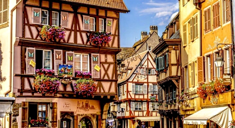 The Colmar Essential Walking Tour  France &mdash; #2