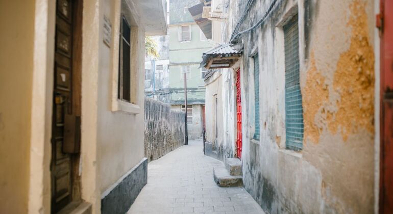 Stone Town: History, Culture & Souvenir Walking Tour Tanzania &mdash; #2