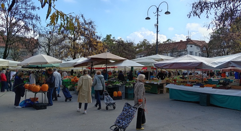 Scopri il centro di Lubiana in italiano Slovenia &mdash; #5