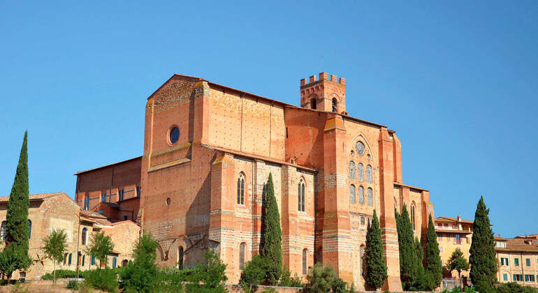 Audio Self Guided App: Siena City Tour Italy &mdash; #5