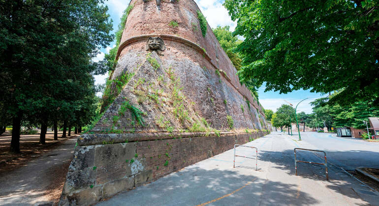 Audio Self Guided App: Siena City Tour Italy &mdash; #12
