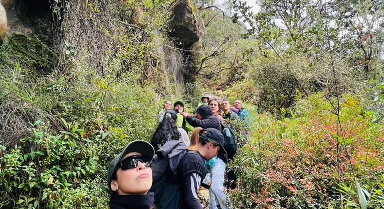 Bogotá Free Tour: Nature Tourism in the Eastern Hills  Colombia &mdash; #3