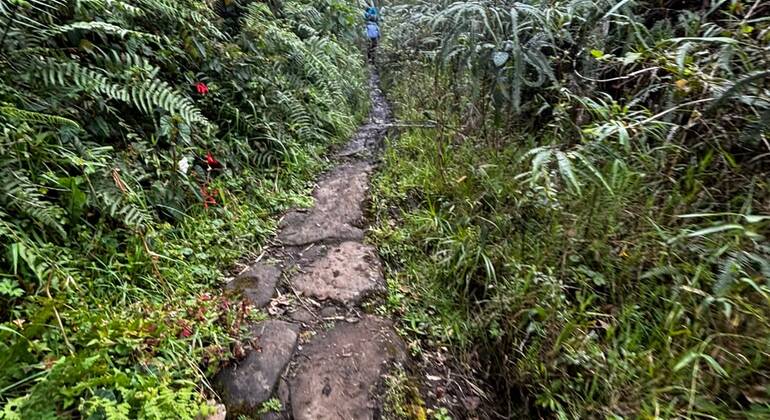 Bogotá Free Tour: Nature Tourism in the Eastern Hills  Colombia &mdash; #5