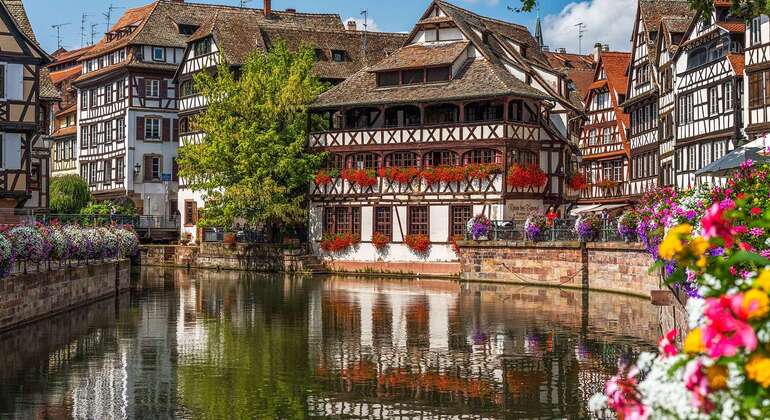 Strasbourg Free Tour through the Eyes of a Passionate Local  France &mdash; #2