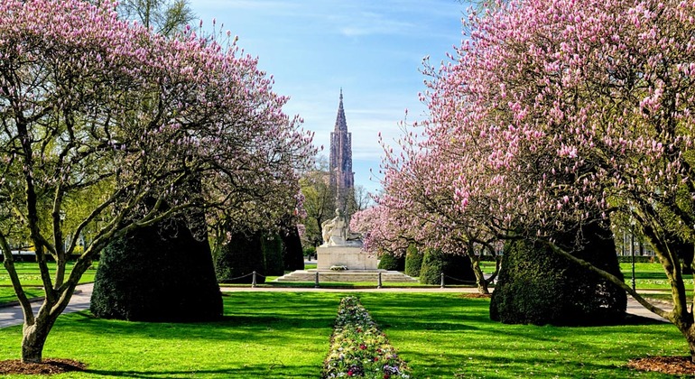 Strasbourg Free Tour through the Eyes of a Passionate Local  France &mdash; #4