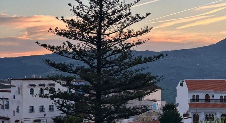 Découvrez Chefchaouen comme un habitant de la ville grâce à une visite guidée gratuite Maroc &mdash; #5