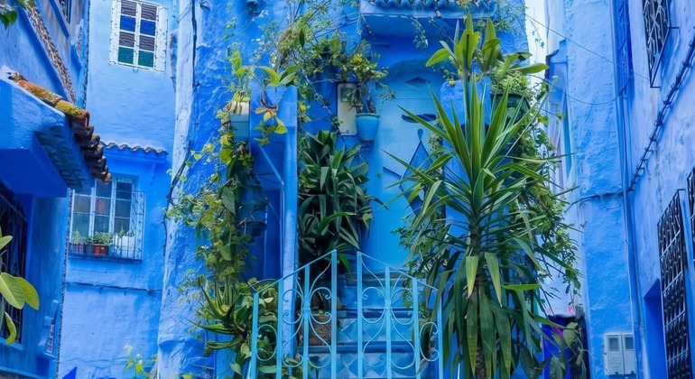 Découvrez Chefchaouen comme un habitant de la ville grâce à une visite guidée gratuite Maroc &mdash; #13