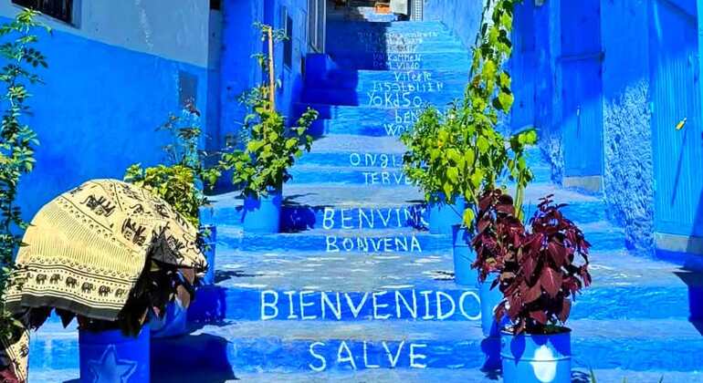 Découvrez Chefchaouen comme un habitant de la ville grâce à une visite guidée gratuite Maroc &mdash; #34