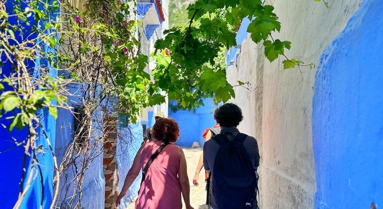 Découvrez Chefchaouen comme un habitant de la ville grâce à une visite guidée gratuite Maroc &mdash; #38