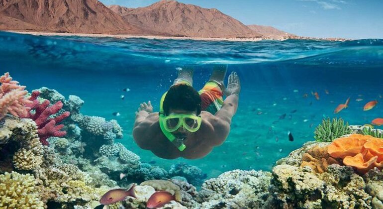 Crucero de buceo con esnórquel por Orange Bay, en Hurghada, con almuerzo incluido Operado por Ahhmedfouda