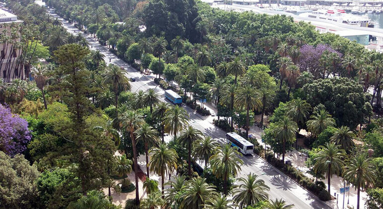 Exclusive Private Málaga Tour with an Architect Spain &mdash; #7