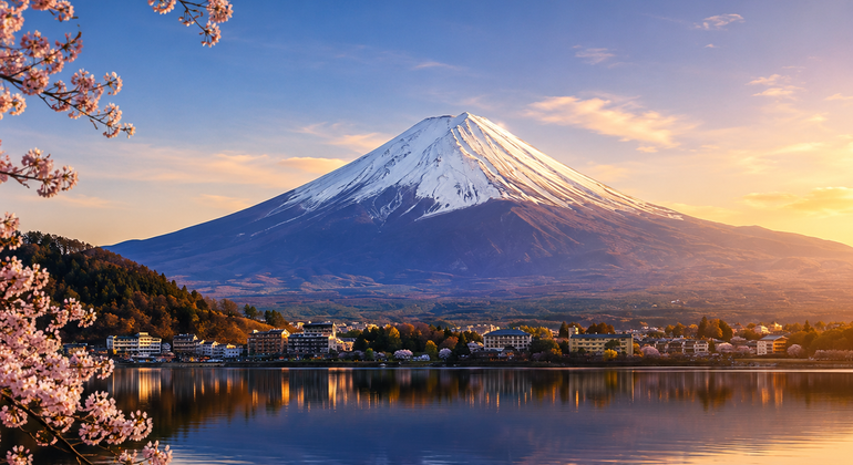 Tokyo Tour: Mt Fuji & Oishi Park & Lake Kawaguchi & Oshino Hakkai
