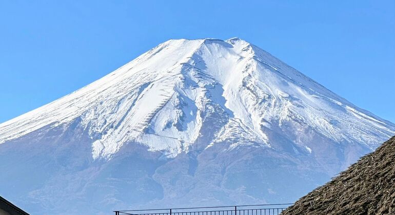 tokyo-mt-fuji-oishi-park-lake-kawaguchi-oshino-hakkai-en-1