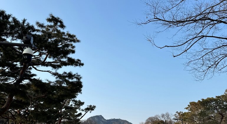 Haunted Seoul: Self Guided Exploration Game  South Korea &mdash; #8