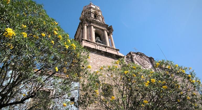 Tesoros ocultos de Aguascalientes: juego de exploración autoguiado global.countries. &mdash; #2