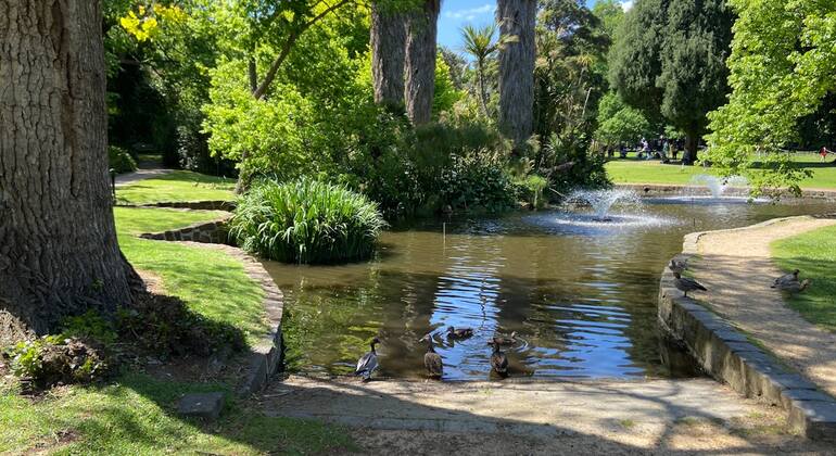 Melbourne's Fitzroy & Treasury Gardens: Self Guided Exploration Game Australia &mdash; #11