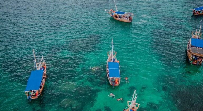 The Grand Safari Blue: Dhow Cruise, Seafood Feast & Island Discovery Tanzania &mdash; #5