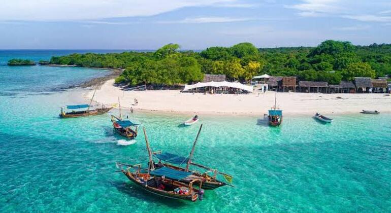 The Grand Safari Blue: Dhow Cruise, Seafood Feast & Island Discovery Tanzania &mdash; #13
