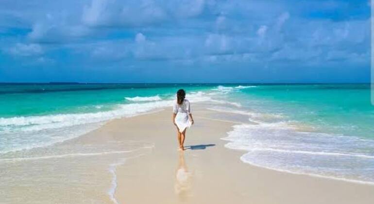 The Grand Safari Blue: Dhow Cruise, Seafood Feast & Island Discovery Tanzania &mdash; #18