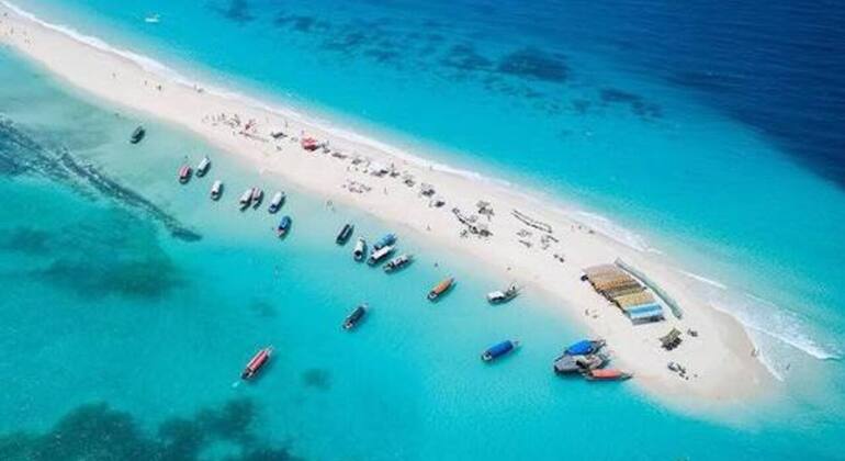 The Grand Safari Blue: Dhow Cruise, Seafood Feast & Island Discovery Tanzania &mdash; #19