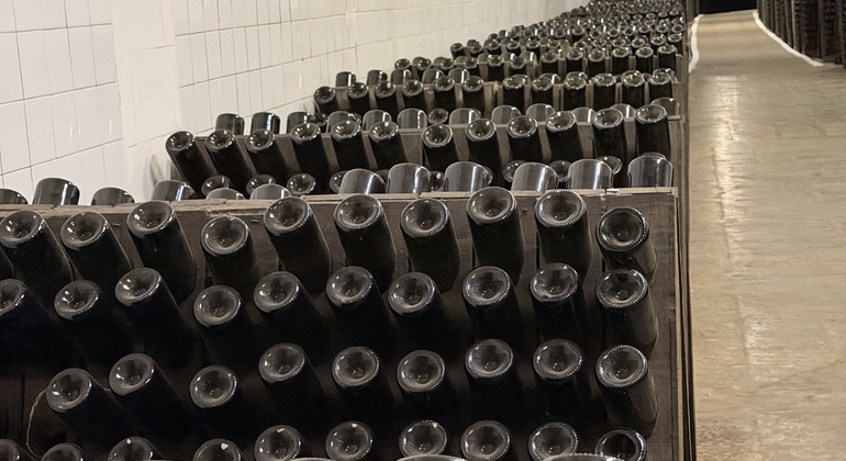 Moldova Wine Tour: Cricova & Family Winery Moldova &mdash; #4