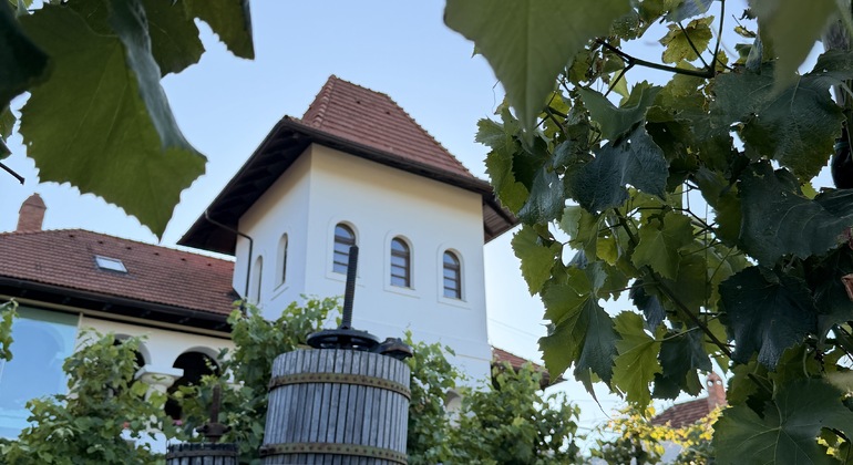 Moldova Wine Tour: Cricova & Family Winery Moldova &mdash; #5