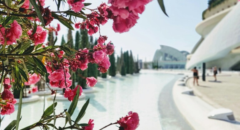 Valencia Must-See Free Tour: History, Legends, Hidden Treasures Spain &mdash; #2