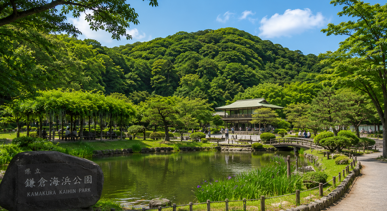 Tokyo: Kamakura & Enoshima Day Trip including Temple Tickets