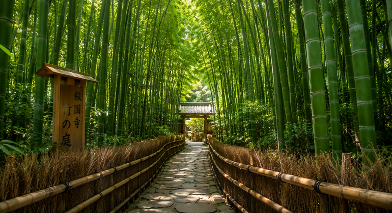 Tokyo: Kamakura & Enoshima Day Trip including Temple Tickets Japan &mdash; #2