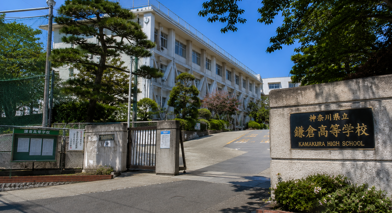 Tokyo: Kamakura & Enoshima Day Trip including Temple Tickets Japan &mdash; #5