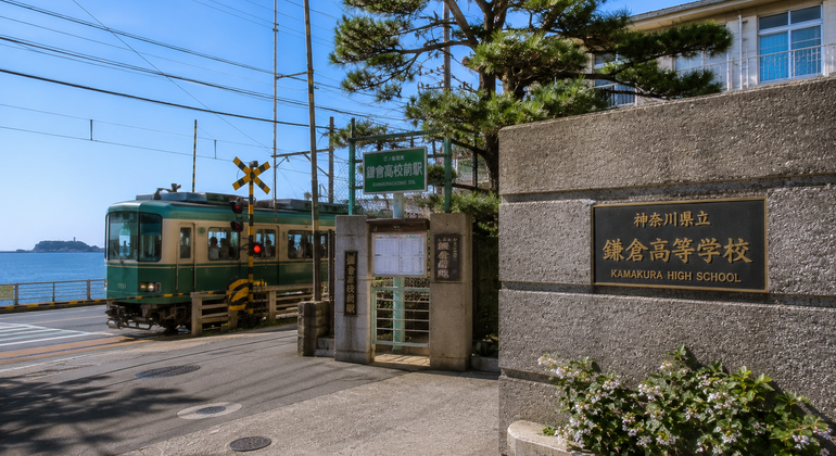 Tokyo: Kamakura & Enoshima Day Trip including Temple Tickets Japan &mdash; #6