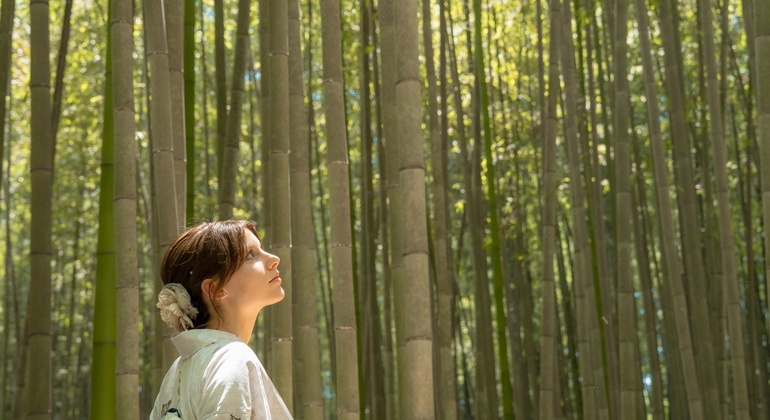Kyoto Kimono Bamboo Photo Walking Tour & Tea Ceremony Japan &mdash; #2