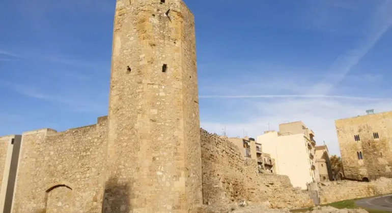 Essential Tarragona Tour: Roman History & Medieval Secrets Spain &mdash; #5