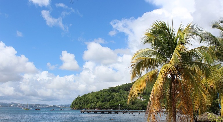 Visita a las plantaciones del sur imperial de Fort-de-France, Martinique