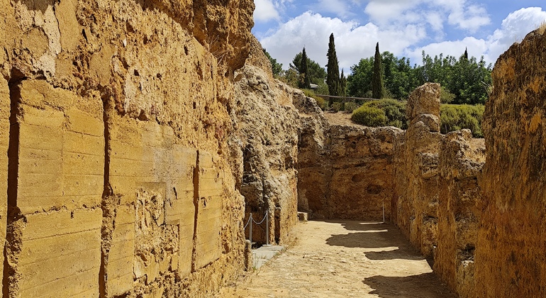 guided-tour-of-the-carmona-necropolis-en-3
