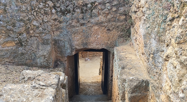 guided-tour-of-the-carmona-necropolis-en-8