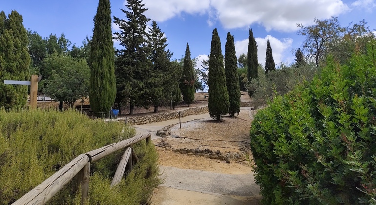 guided-tour-of-the-carmona-necropolis-en-9