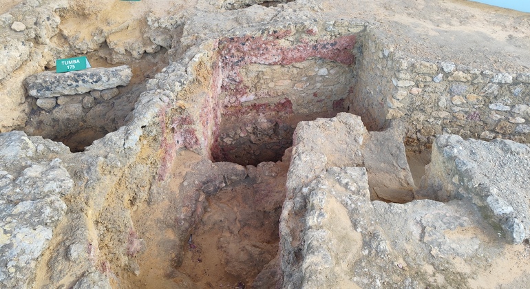 guided-tour-of-the-carmona-necropolis-en-14