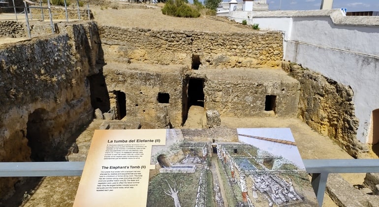 Visita Guiada a la Necrópolis de Carmona Operado por Ciudad Secreta Tours
