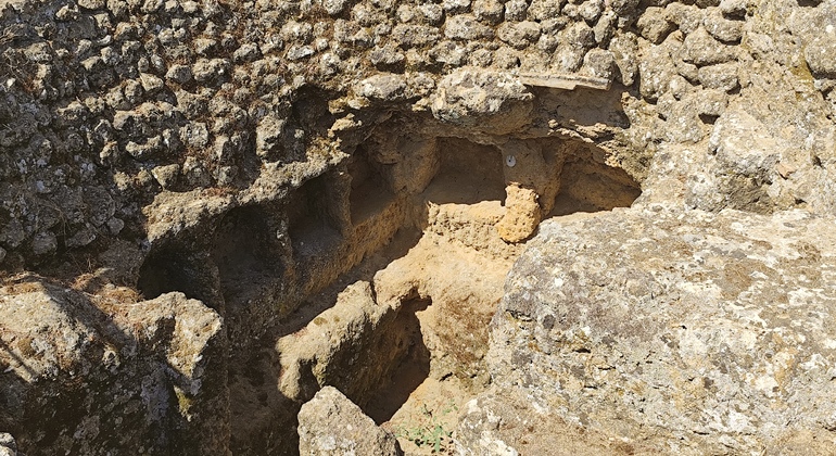guided-tour-of-the-carmona-necropolis-en-13